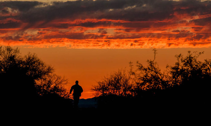 2011 desert caballeros ride