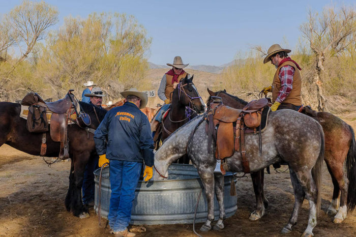 2011 desert caballeros ride