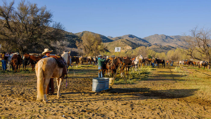2011 desert caballeros ride