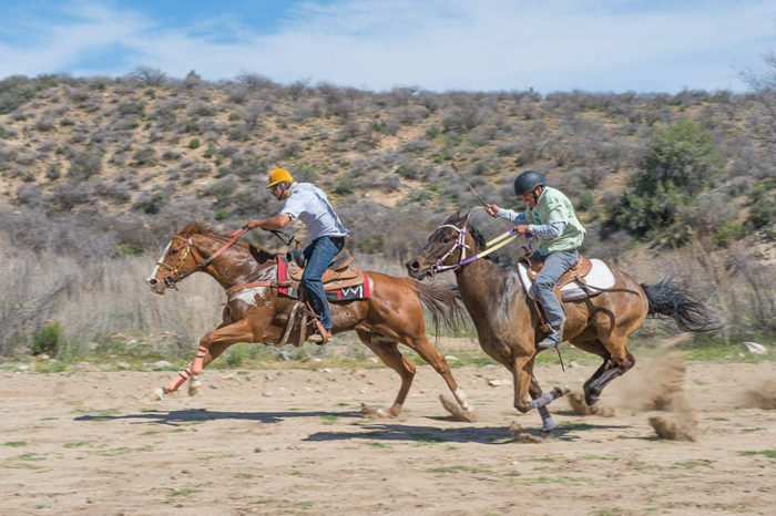 2012 desert caballeros ride