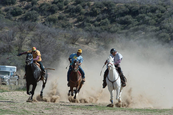 2012 desert caballeros ride